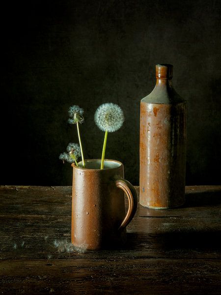 Touffu par Miriam Meijer, en pleine campagne.....