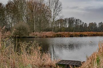 Winter at the lake by Heleen de Silva