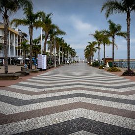 Perspective of a promenade with geometrical pavement and palm trees on a cloudy day von Cristina Llavata