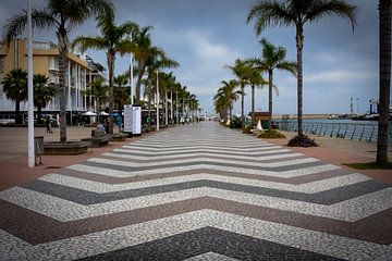 Perspective of a promenade with geometrical pavement and palm trees on a cloudy day van Cristina Llavata