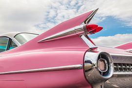 Der rosa Cadillac von Martin Bergsma