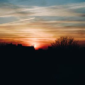 Sonnenuntergang von Marie Ndiaye