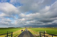 Tegenwind op de fiets in Groningen