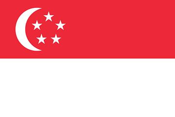 Vlag van Singapore van de-nue-pic