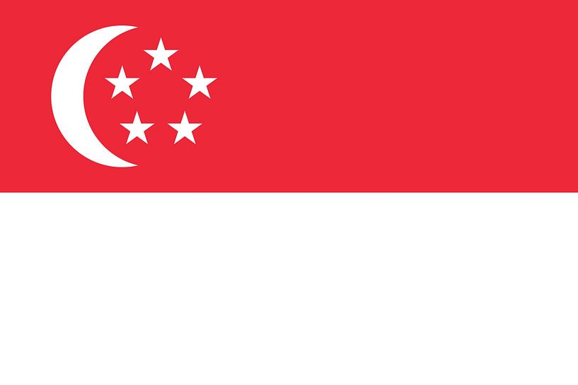Flag of Singapore by de-nue-pic