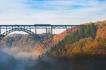 Müngstener brug over de Wupper vallei van Dirk Wüstenhagen