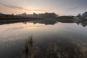 Mistige zonsopkomst Zeist bosmeertje Heidestein van Peter Haastrecht, van