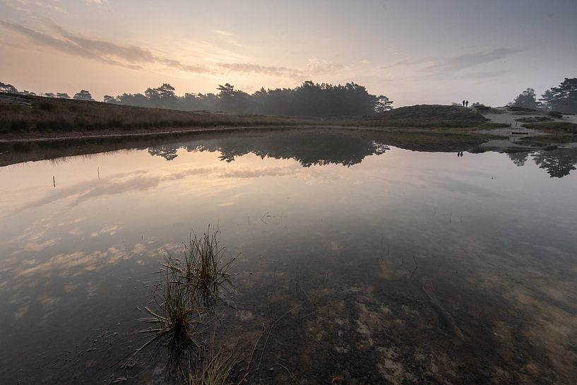Foggy sunrise Zeist bosmeertje Heidestein by Peter Haastrecht, van