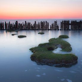 an island in the sea by Marieke Treffers