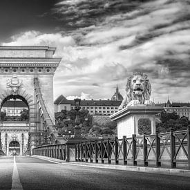 Boedapest zwart-wit van Manfred Voss, Zwart-Wit Fotografie