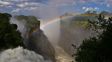 Regenboog overspant Victoria Falls in Afrika van Timon Schneider