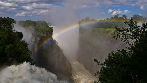 Regenboog overspant Victoria Falls in Afrika