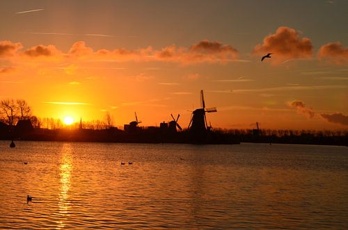 De Zaan in de morgen