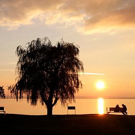 Lake Constance beautiful by aRi F. Huber