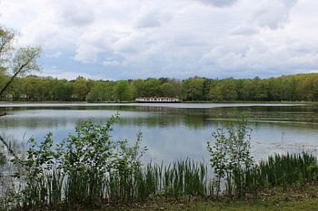 Solarteich Sommertag