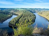 Uitzicht op de Saale Loop in Thüringen van Animaflora PicsStock thumbnail