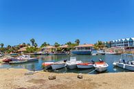 Kleine haven met bootjes en huizen op het eiland Bonaire van Ben Schonewille thumbnail