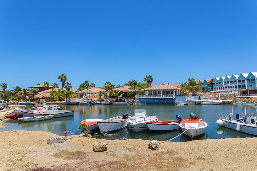Kleine haven met bootjes en huizen op het eiland Bonaire van Ben Schonewille
