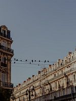 Bird’s Eye View | Travel Photography Art Print in the City of Marseille | Cote d’Azur, South of France