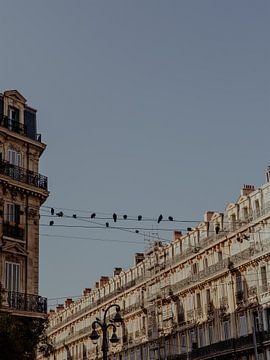 Vogelperspektive | Reisefotografie Kunstdruck in der Stadt Marseille | Cote d'Azur, Südfrankreich von ByMinouque
