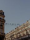 Bird’s Eye View | Travel Photography Art Print in the City of Marseille | Cote d’Azur, South of France van ByMinouque thumbnail