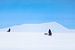 Husky sledeteams over bergpas met helder blauwe lucht van Martijn Smeets