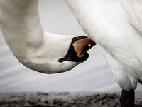 Ander perspectief nemen