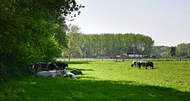 Holsbeek, Belgium - II by Jarne Buttiens