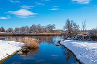 Landschap op de Warnow in Rostock in de winter van Rico Ködder thumbnail