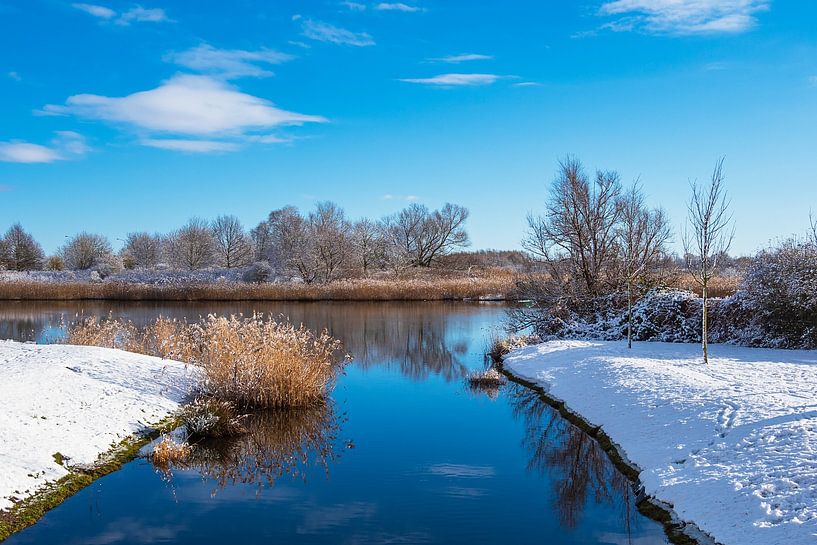 Landschap op de Warnow in Rostock in de winter van Rico Ködder