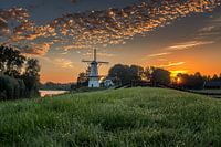 De Vlinder