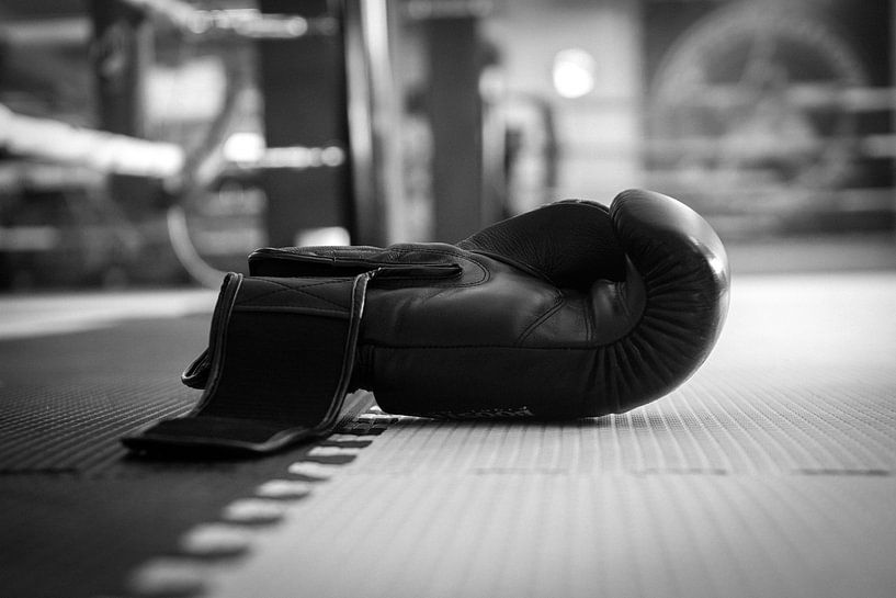 FightClub by Michel Van Giersbergen