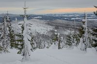 Uitzicht vanuit Lusen national Park Germany