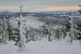 Uitzicht vanuit Lusen national Park Germany van Desirée Couwenberg