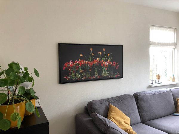 Customer photo: Tulips from Holland by Dirk Verwoerd, on canvas