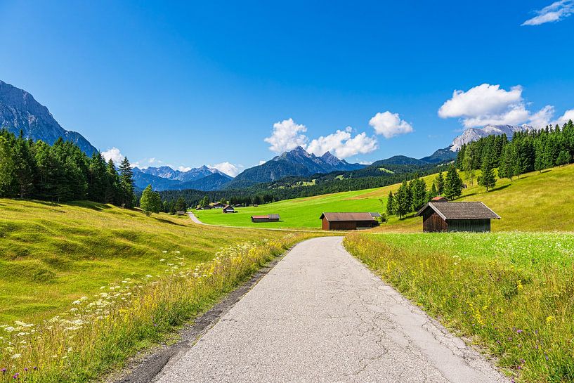 Landscape in the hummock meadows between Mittenwald and Krün by Rico Ködder