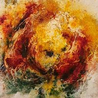 Pioenroos, roos, explosie in kleur