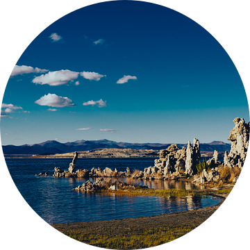 Kalksteen Tufsteen Formatie bij Mono Lake Natron in de Sierra Nevada Californië USA van Dieter Walther