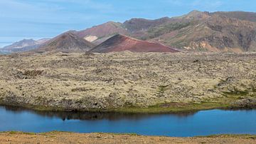 Rode berg in lavaveld op IJsland van Lynxs Photography