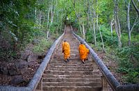 Buddhist monks climbing and stairs in Battambang, Cambodia