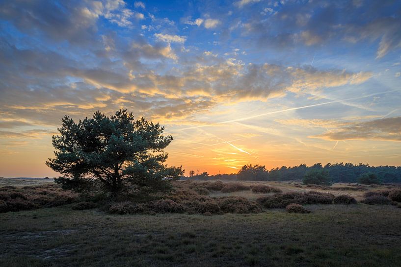 Sunset at De Pollen von Jaap Tempelman