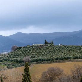 Spring in Ronda by Frank Lavooij