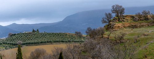 Printemps à Ronda