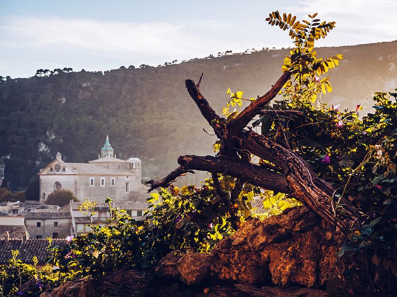 Valldemossa (Majorque) par Alexander Voss