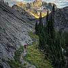 Mountain pathways van Remco van Adrichem