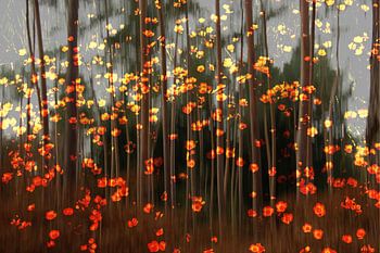 impressionistisch sprookjes bos