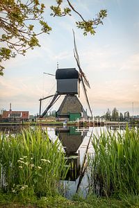 Kinderdijk in de lente