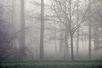 Bomen in de mist van Jozef Poortmans