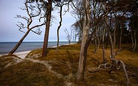 Baltic Sea by Thomas Jäger