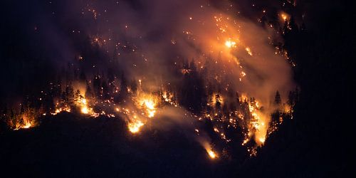 Bosbrand bij Nacht Abstract